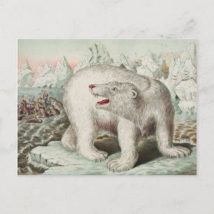 Eisbär Poster Postkarte