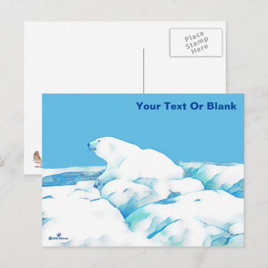 Eisbär Postkarte (Vorne/Hinten)