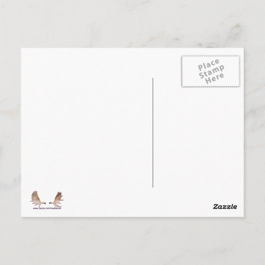 Eisbär Postkarte (Rückseite)