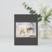Eisbär Postkarte (Stehend Vorderseite)