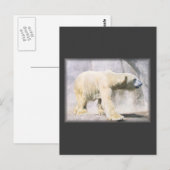 Eisbär Postkarte (Vorne/Hinten)
