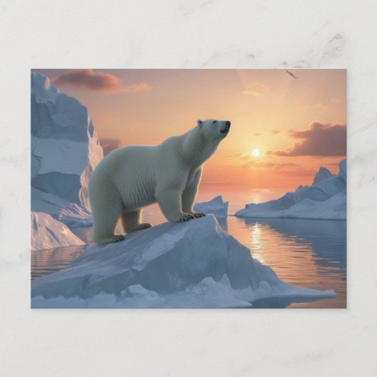 Eisbär Postkarte (Vorderseite)