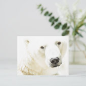 Eisbär Postkarte (Stehend Vorderseite)