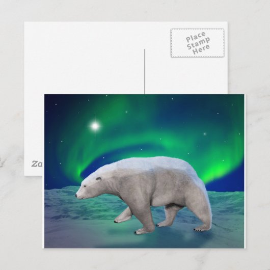 Eisbär Postkarte (Vorne/Hinten)