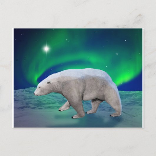 Eisbär Postkarte (Vorderseite)