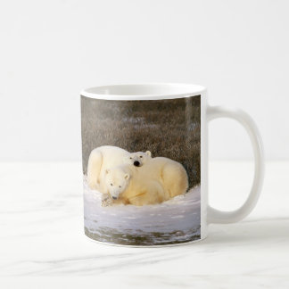 Eisbär-Schalen-Reihe Kaffeetasse