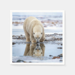 Eisbär schaut in eine schmelzende Eiswasserlache Serviette