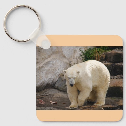 Eisbär Schlüsselanhänger (Vorderseite)