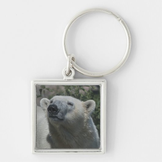 Eisbär Schlüsselanhänger (Vorne)