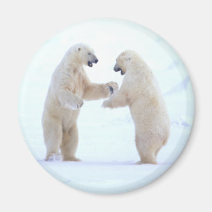 Eisbär-Spiel Magnet
