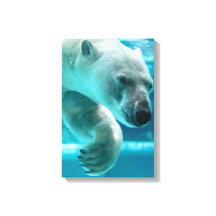 Eisbär-Tauchgang klares blaues Wasser (Portrait) 