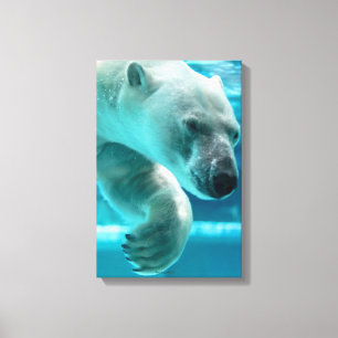 Eisbär-Tauchgang klares blaues Wasser (Portrait) Leinwanddruck