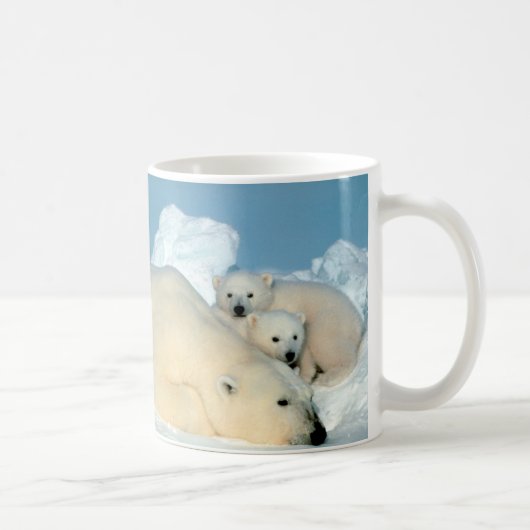 Eisbär u. CUB durch Steve Amstrup Kaffeetasse (Rechts)