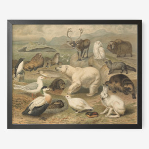 Eisbär und arktische Tierfreunde Vintage Poster