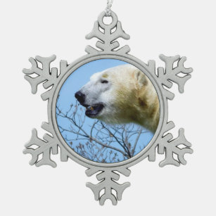 Eisbär und Blauer Himmel (Toronto Zoo, Kanada) Schneeflocken Zinn-Ornament