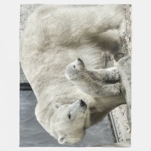 Eisbär und Kürbis Fleecedecke (Vorderseite)