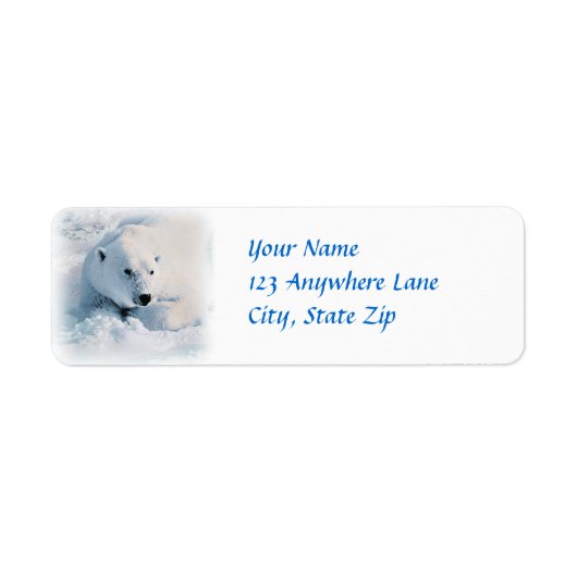 Eisbär und Schnee (Vorne)