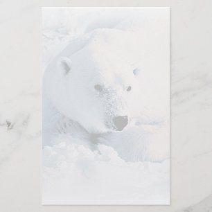 Eisbär und Schnee-Briefpapier Briefpapier
