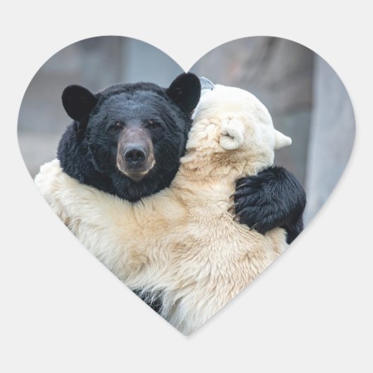 Eisbär und Schwarzbär Herz-Aufkleber (Vorderseite)