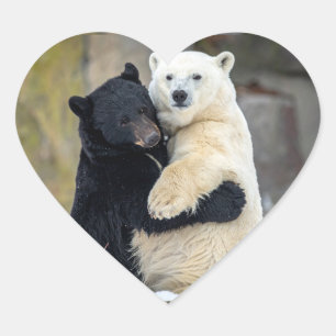 Eisbär und Schwarzbär umarmen sich Herz-Aufkleber