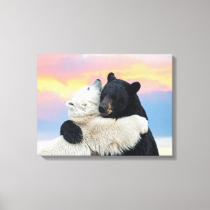 Eisbär und Schwarzbär umarmen sich Leinwanddruck