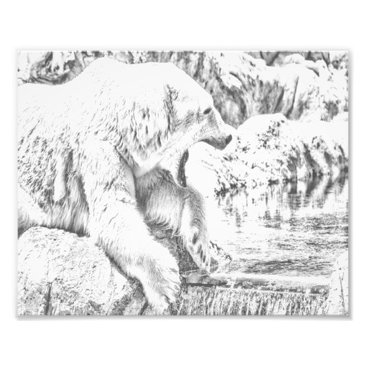 Eisbär und Wasser Fotodruck (Vorne)