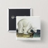 Eisbär (Ursus Maritimus), Audubon Quadrupeds Button (Vorne & Hinten)