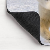 Eisbär, Ursus maritimus, auf Eis und Schnee, 2 Mousepad (Ecke)