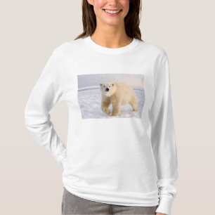 Eisbär, Ursus maritimus, auf Eis und Schnee, 2 T-Shirt