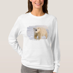 Eisbär, Ursus maritimus, auf Eis und Schnee, 2 T-Shirt