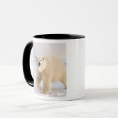 Eisbär, Ursus maritimus, auf Eis und Schnee, 2 Tasse (Vorderseite Links)
