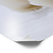 Eisbär, Ursus maritimus, auf Eis und Schnee, Fotodruck (Ecke)