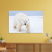 Eisbär, Ursus maritimus, auf Eis und Schnee, Leinwanddruck (Insitu (Wohnzimmer))
