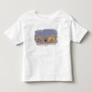 Eisbär, Ursus maritimus, Bärin spielt Kleinkind T-shirt