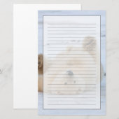 Eisbär, Ursus maritimus, cub rollend 3 Briefpapier (Vorne/Hinten)