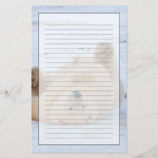 Eisbär, Ursus maritimus, cub rollend 3 Briefpapier (Vorderseite)