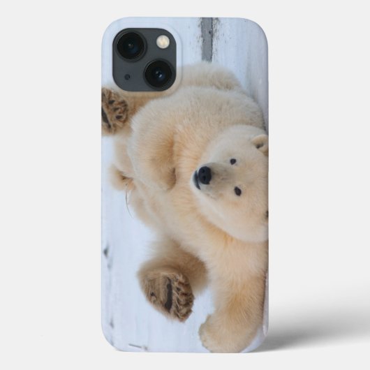 Eisbär, Ursus maritimus, cub rollend 3 Case-Mate iPhone Hülle (Rückseite)