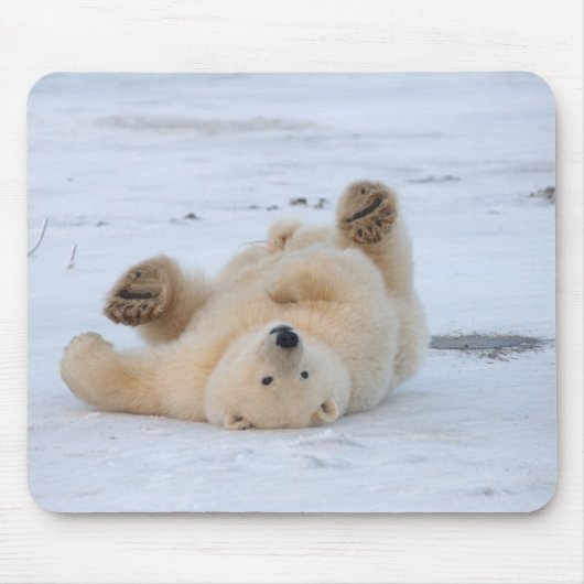 Eisbär, Ursus maritimus, cub rollend 3 Mousepad (Vorne)