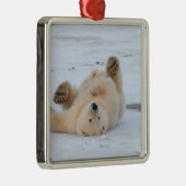Eisbär, Ursus maritimus, cub rollend 3 Silbernes Ornament (Rechts)