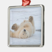 Eisbär, Ursus maritimus, cub rollend 3 Silbernes Ornament (Links)