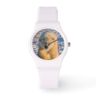 Eisbär, Ursus maritimus, Eisbär auf Eis Armbanduhr