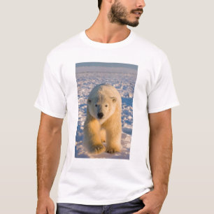 Eisbär, Ursus maritimus, Eisbär auf Eis T-Shirt