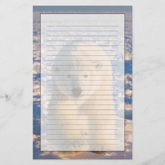 Eisbär, Ursus maritimus, Eisbär Briefpapier (Vorderseite)