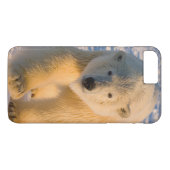Eisbär, Ursus maritimus, Eisbär Case-Mate iPhone Hülle (Rückseite (Horizontal))