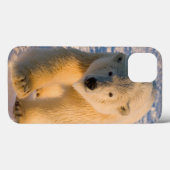Eisbär, Ursus maritimus, Eisbär Case-Mate iPhone Hülle (Rückseite (Horizontal))
