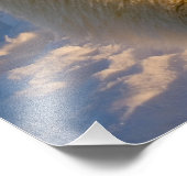 Eisbär, Ursus maritimus, Eisbär Fotodruck (Ecke)