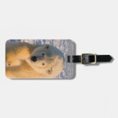 Eisbär, Ursus maritimus, Eisbär Gepäckanhänger (Vorderseite horizontal)