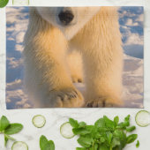 Eisbär, Ursus maritimus, Eisbär Küchentuch (Gefaltet)