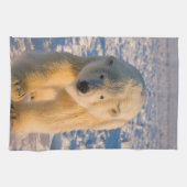 Eisbär, Ursus maritimus, Eisbär Küchentuch (Horizontal)