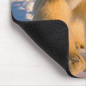 Eisbär, Ursus maritimus, Eisbär Mousepad (Ecke)